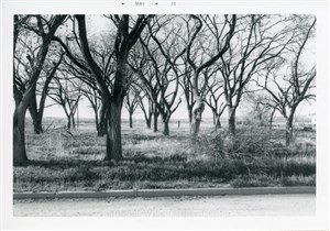 Image description is not available for PHO-4-W689-1053